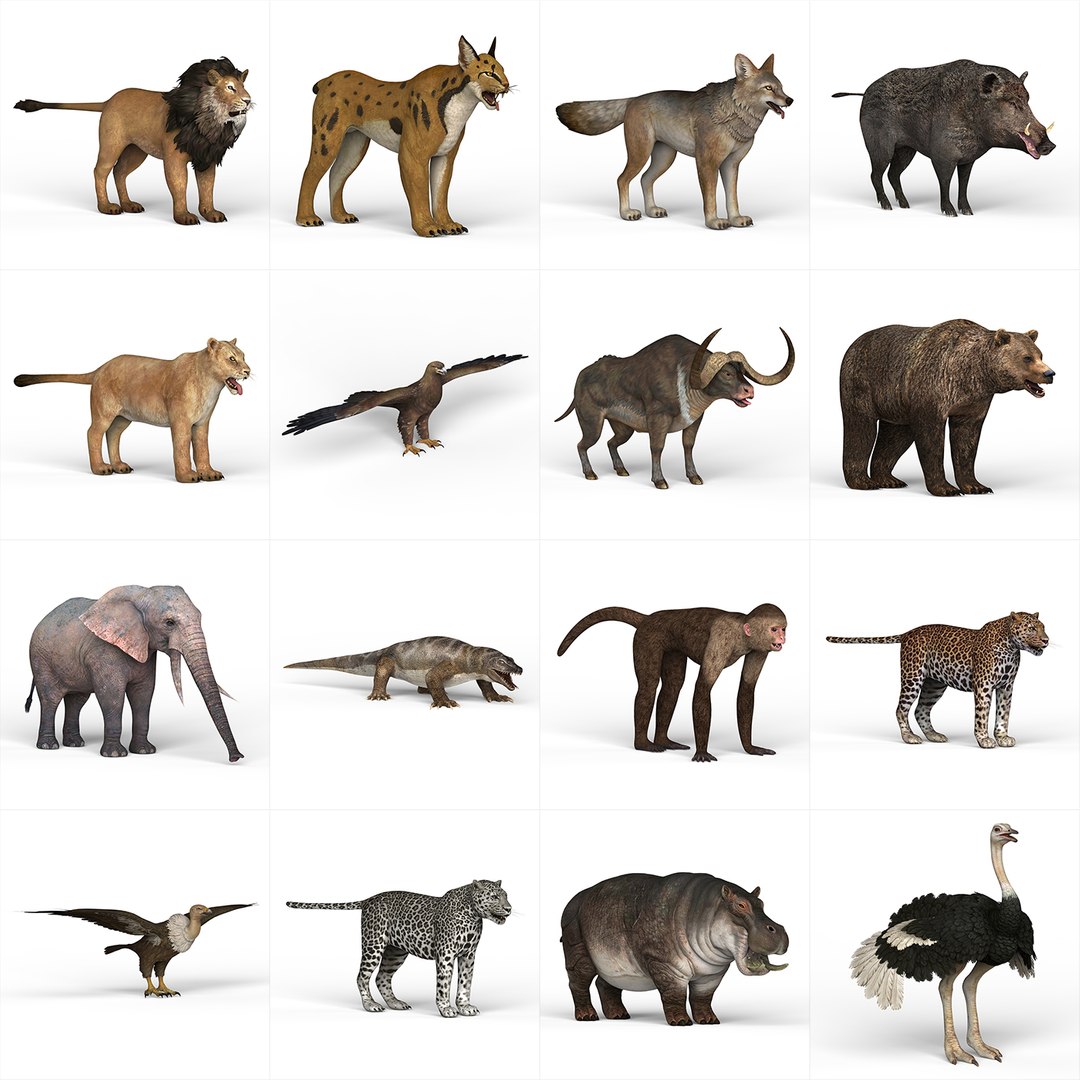 3D wild animal model https://p.turbosquid.com/ts-thumb/ea/UONDkA/gz70ReAb/main/jpg/1598379885/1920x1080/fit_q87/514e54faf777ba9a7b1229c028739109a4ae0d8f/main.jpg