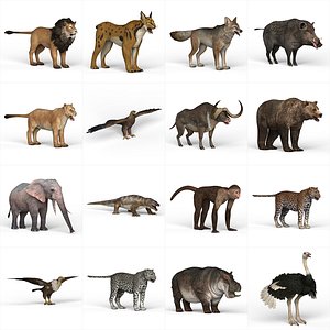 3D wild animal model