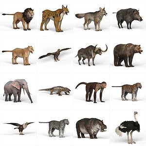 Low Poly Wild Animal Collection