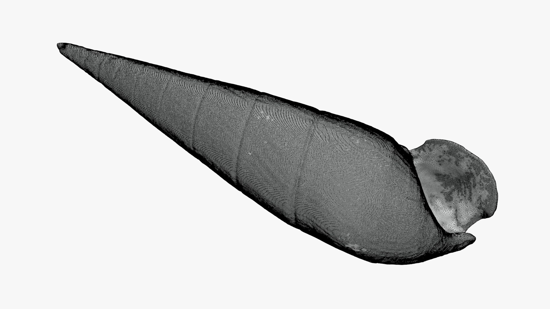 Faunus Ater for 3D Print 3D https://p.turbosquid.com/ts-thumb/ea/UlwAjI/Lh/faunusater_g0004/jpg/1741276057/1920x1080/fit_q87/5920283f9c781405e32f8be27ba3d604e7c91896/faunusater_g0004.jpg
