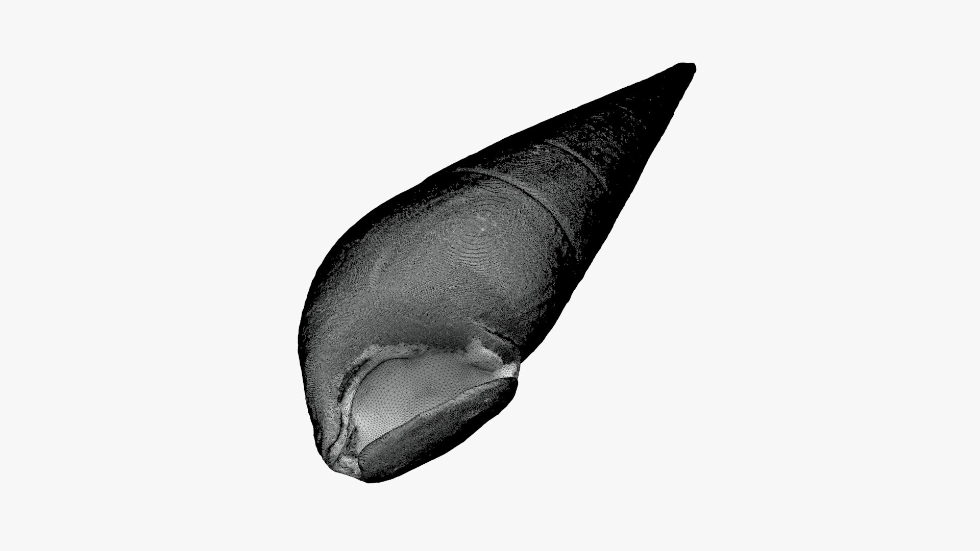 Faunus Ater for 3D Print 3D https://p.turbosquid.com/ts-thumb/ea/UlwAjI/NQ/faunusater_g0002/jpg/1741276059/1920x1080/fit_q87/3ad253a2ddb8ed54092d95d0ba8174e1f68d328c/faunusater_g0002.jpg