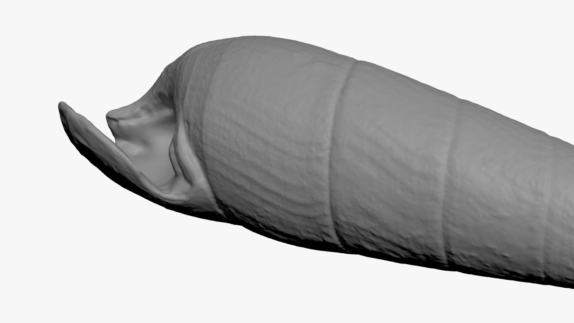 Faunus Ater for 3D Print 3D https://p.turbosquid.com/ts-thumb/ea/UlwAjI/aA/faunusater_b0022/jpg/1741276051/1920x1080/fit_q87/8944558bd085858c0f2fb75cfe33a54d8f6f4de1/faunusater_b0022.jpg