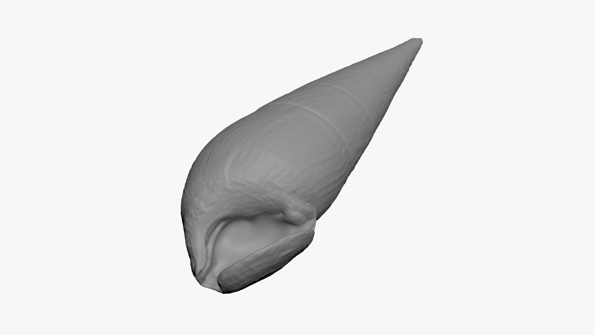 Faunus Ater for 3D Print 3D https://p.turbosquid.com/ts-thumb/ea/UlwAjI/fT/faunusater_b0012/jpg/1741276045/1920x1080/fit_q87/72c3944092b061c778dd4c6d3b35bce85d9fd74c/faunusater_b0012.jpg