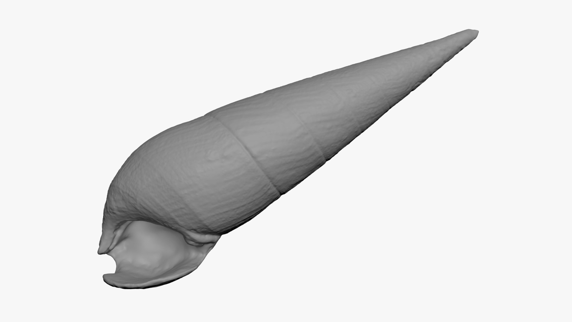 Faunus Ater for 3D Print 3D https://p.turbosquid.com/ts-thumb/ea/UlwAjI/nq/faunusater_b0002/jpg/1741276043/1920x1080/fit_q87/5e1b9bcf51691a108000939effc418ae4dc60361/faunusater_b0002.jpg
