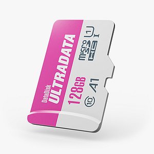 Micro SD Card