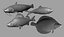 Fish Collection (plaice,catfish,herring,perch)