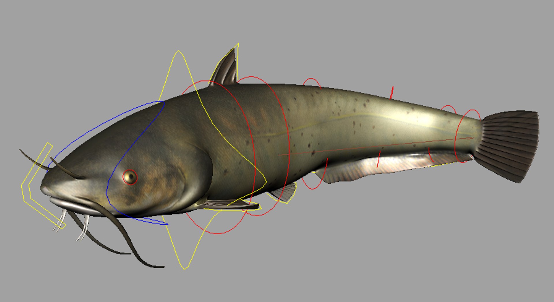 fishes herring catfish perch ma https://p.turbosquid.com/ts-thumb/ea/ZPu28T/DBVeIwJ7/ctafishpromoviewp/jpg/1477735393/1920x1080/fit_q87/533ca7cbb245d210e4d20946b768085676249783/ctafishpromoviewp.jpg