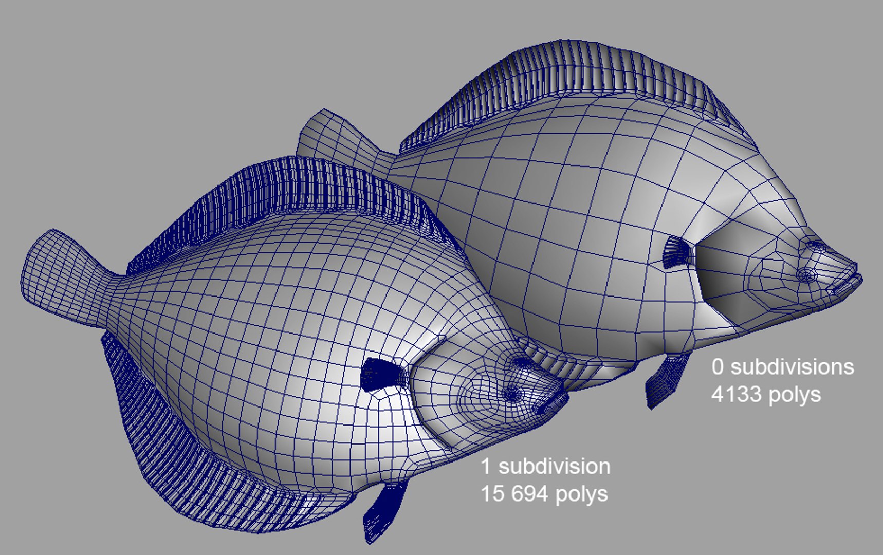 fishes herring catfish perch ma https://p.turbosquid.com/ts-thumb/ea/ZPu28T/YGJEDSZk/plaicepromopolys/jpg/1477735471/1920x1080/fit_q87/9a6dde7c1bde35746cbb463a0aaa53d08c278f5b/plaicepromopolys.jpg