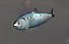 Fish Collection (plaice,catfish,herring,perch)