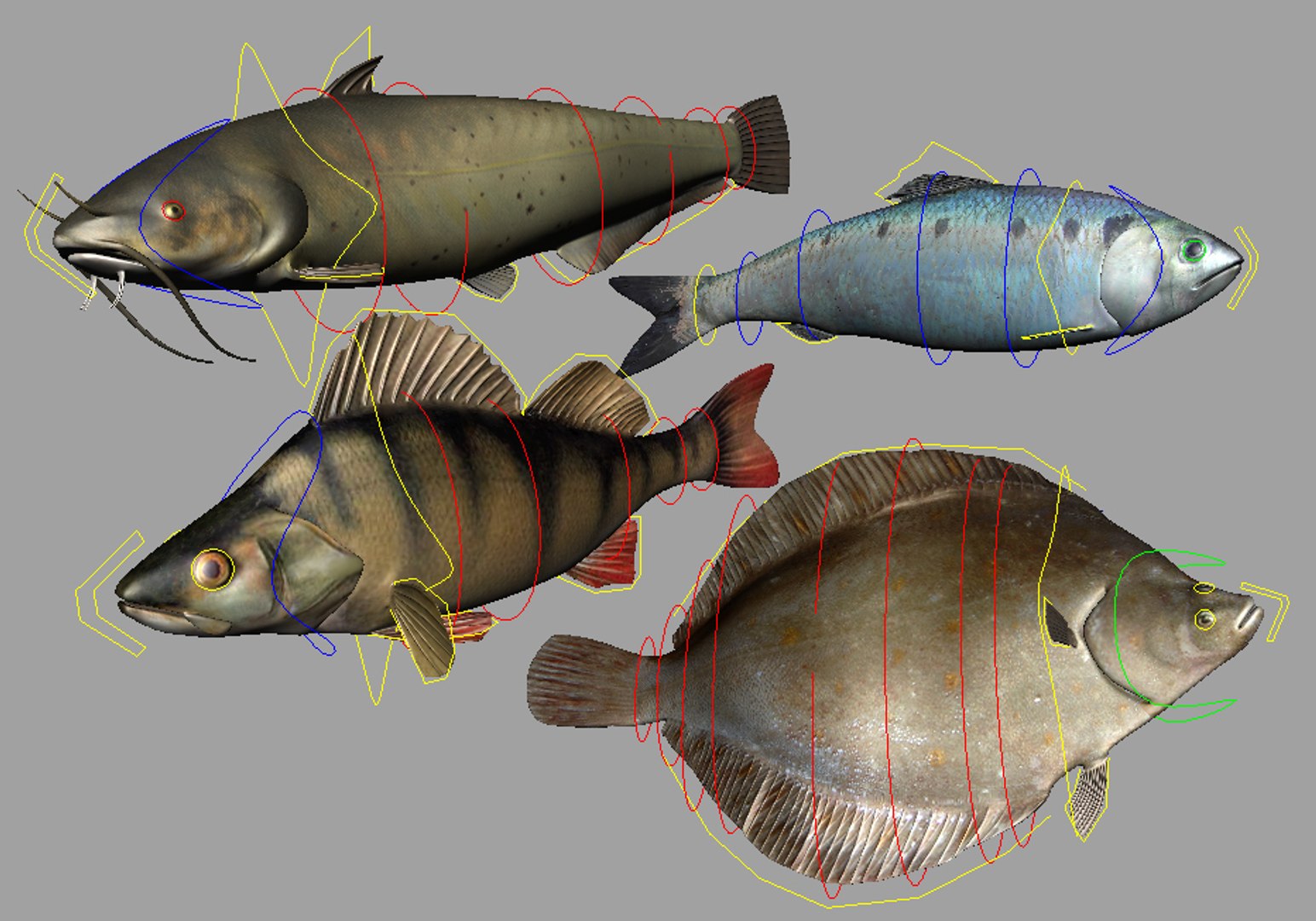 fishes herring catfish perch ma https://p.turbosquid.com/ts-thumb/ea/ZPu28T/tHWmrryd/collectionfishespromocontrols/jpg/1258808570/1920x1080/fit_q87/e2b7c8e0a4bc5fdcac13b4259f8f87fb3a3b7c1c/collectionfishespromocontrols.jpg