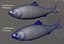 Fish Collection (plaice,catfish,herring,perch)