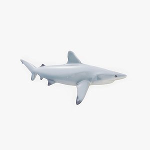 Fish PBR animation rigging 3D