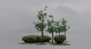 3D Vegetation Assets - Trees  Bushes