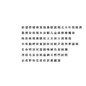 chinese ms pmincho font 3D model