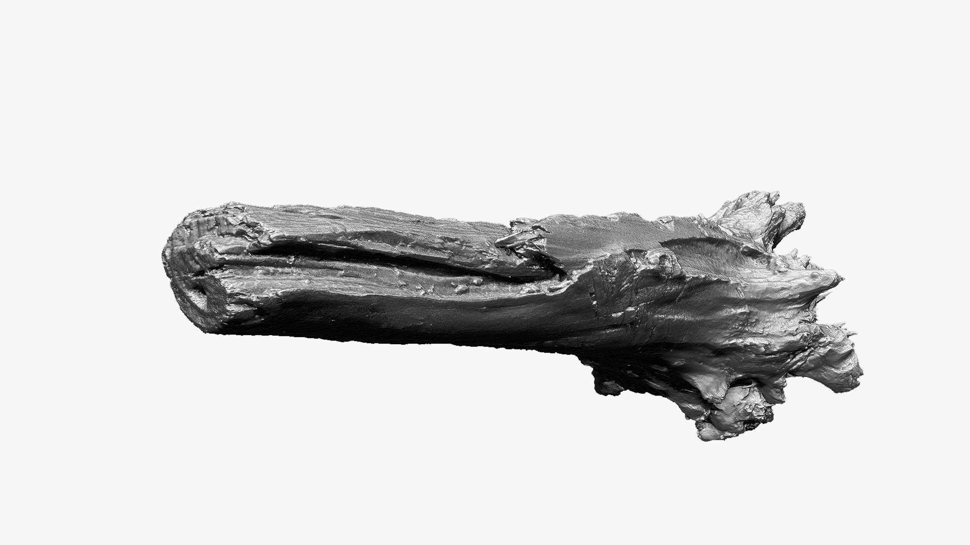 3D 3D Tree trunk Zbrush sculpt https://p.turbosquid.com/ts-thumb/ea/n4GQVx/4Y/wood01_scr15/jpg/1695386197/1920x1080/fit_q87/48da8d73838f69203b272dff7407460cd374611c/wood01_scr15.jpg