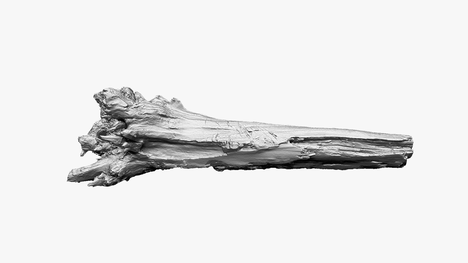 3D 3D Tree trunk Zbrush sculpt https://p.turbosquid.com/ts-thumb/ea/n4GQVx/4s/wood01_scr05/jpg/1695386046/1920x1080/fit_q87/71c3fbb31848726a6ab14141121933739c60f97e/wood01_scr05.jpg