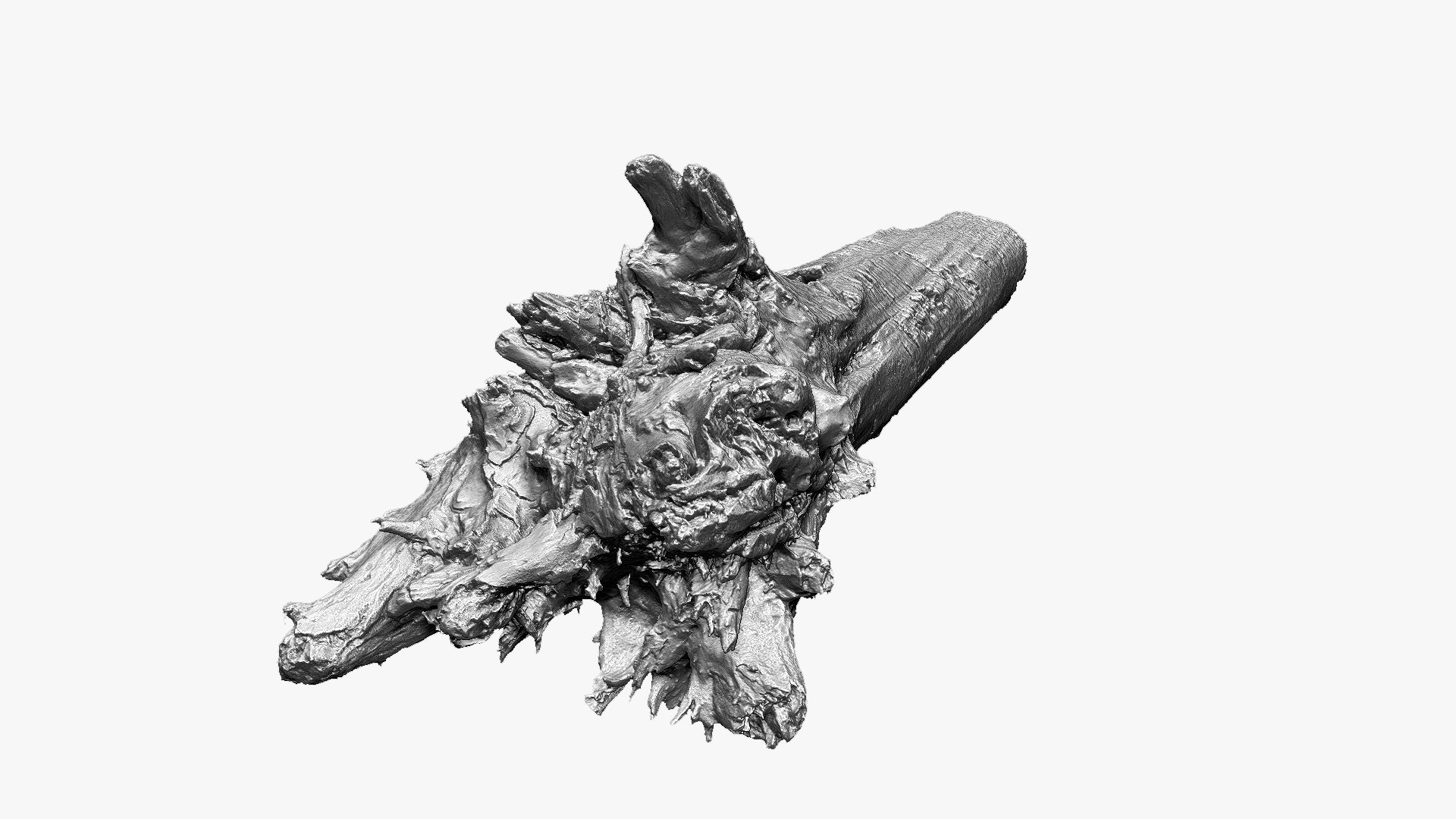 3D 3D Tree trunk Zbrush sculpt https://p.turbosquid.com/ts-thumb/ea/n4GQVx/G1/wood01_scr03/jpg/1695386045/1920x1080/fit_q87/c8c7dc482f8094325e7961aca6bd5a26b71e60df/wood01_scr03.jpg