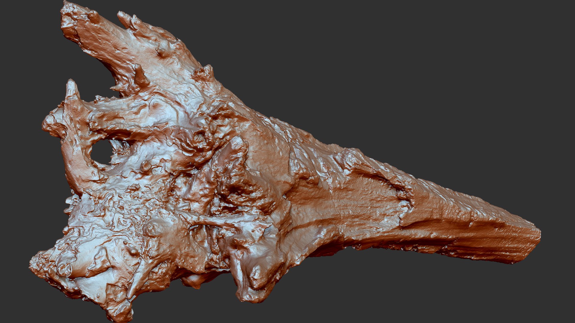 3D 3D Tree trunk Zbrush sculpt https://p.turbosquid.com/ts-thumb/ea/n4GQVx/IZ/wood01_scr37/jpg/1695386098/1920x1080/fit_q87/724a7fef3242130e2c96d9d3c2d40d5853957da1/wood01_scr37.jpg