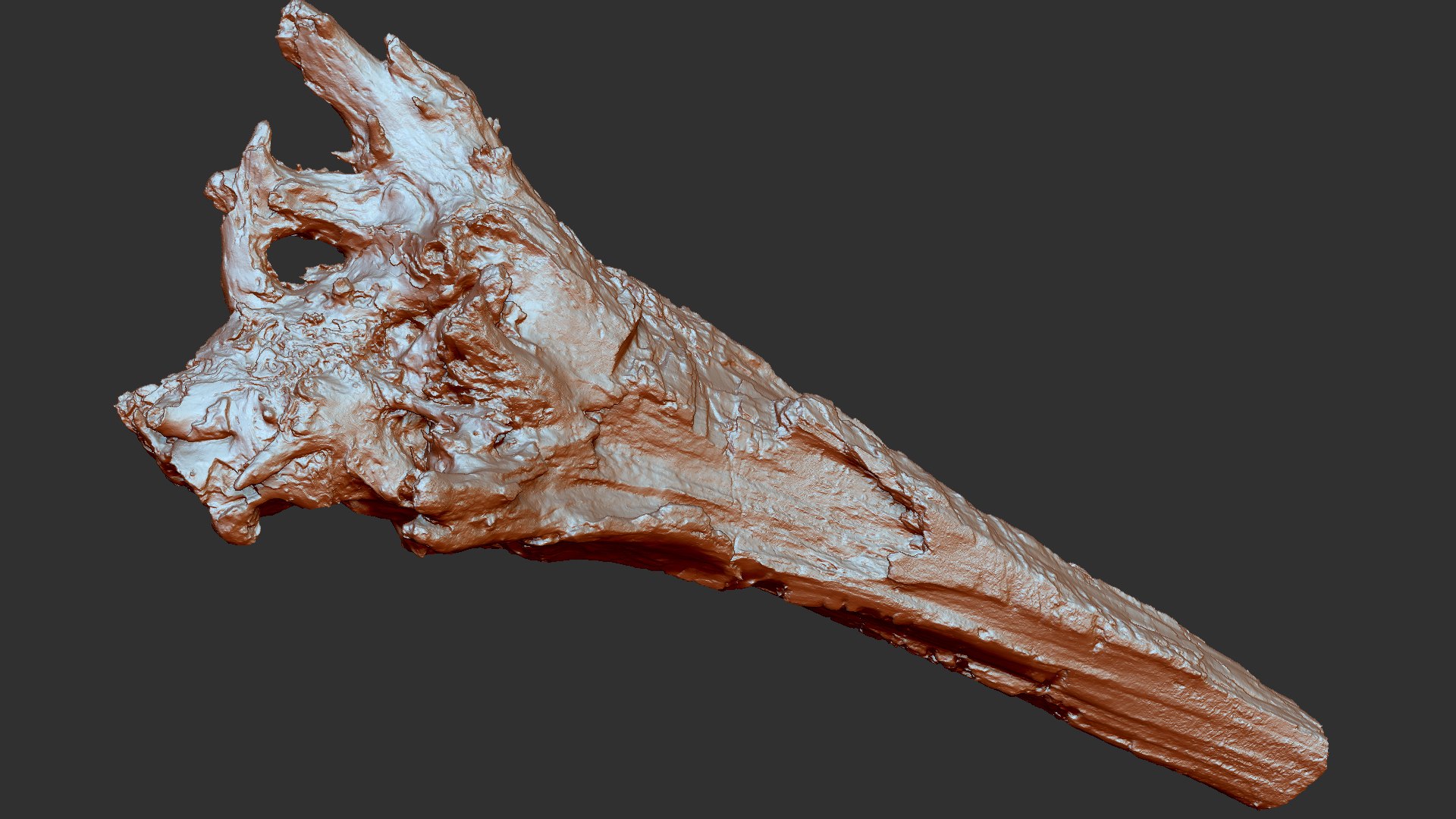 3D 3D Tree trunk Zbrush sculpt https://p.turbosquid.com/ts-thumb/ea/n4GQVx/KE/wood01_scr35/jpg/1695386201/1920x1080/fit_q87/f02d82945ca71e8f575effe4fae600daf05a1107/wood01_scr35.jpg
