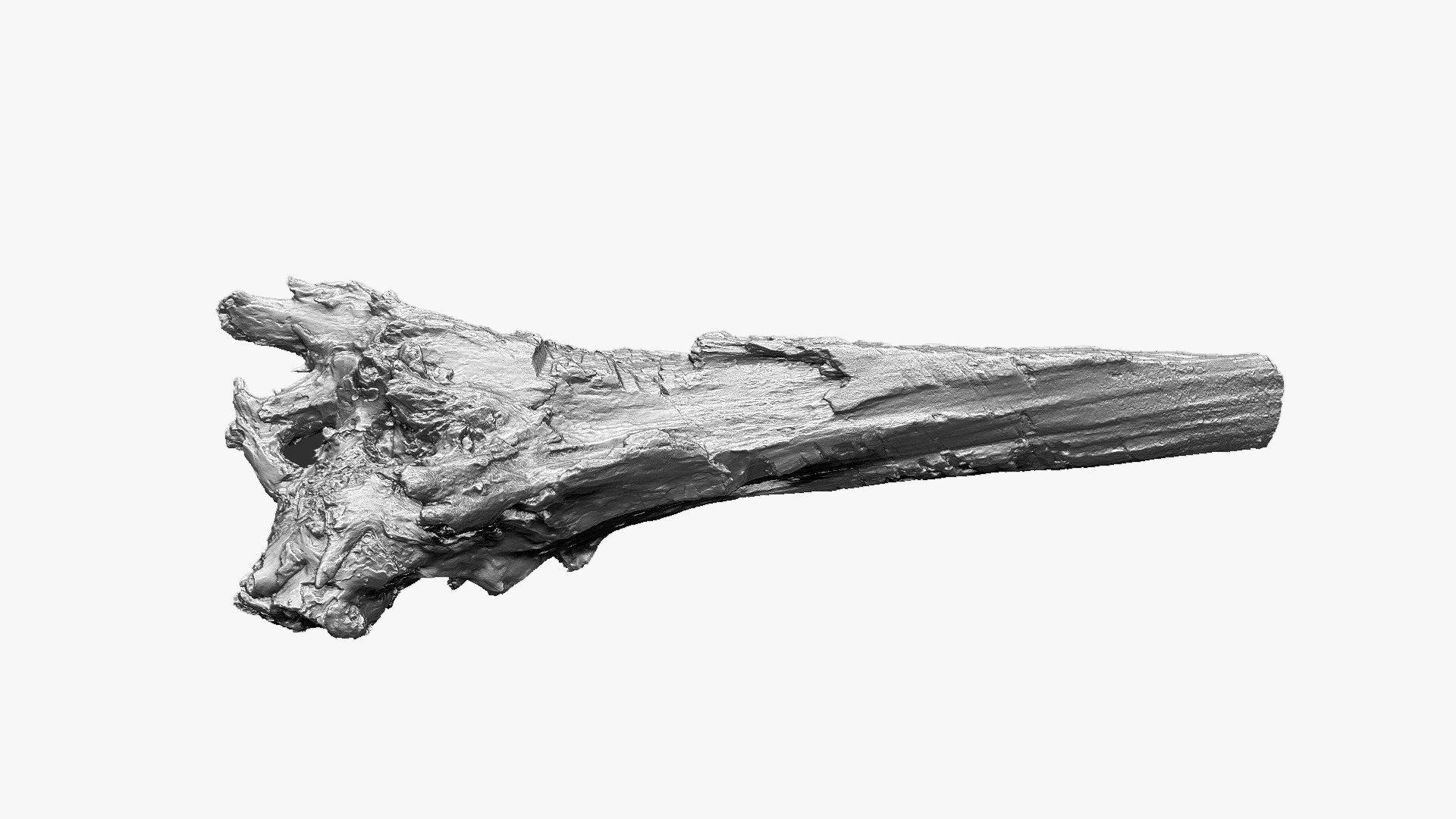 3D 3D Tree trunk Zbrush sculpt https://p.turbosquid.com/ts-thumb/ea/n4GQVx/Z4/wood01_scr13/jpg/1695386197/1920x1080/fit_q87/07b31ba532ea383062c01f03ba1f45f1a3726cde/wood01_scr13.jpg