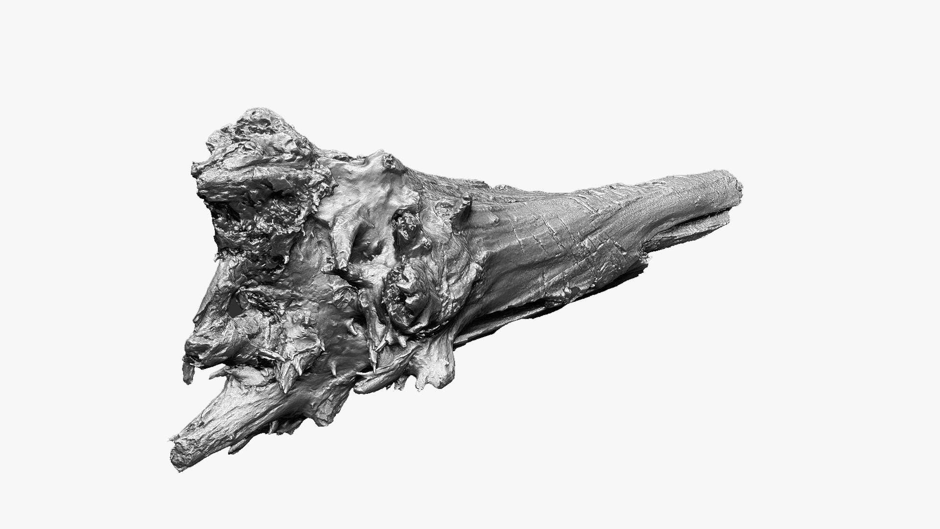 3D 3D Tree trunk Zbrush sculpt https://p.turbosquid.com/ts-thumb/ea/n4GQVx/cR/wood01_scr09/jpg/1695386051/1920x1080/fit_q87/af9e4ea8928645563e15c87ba6eba328897d5cde/wood01_scr09.jpg