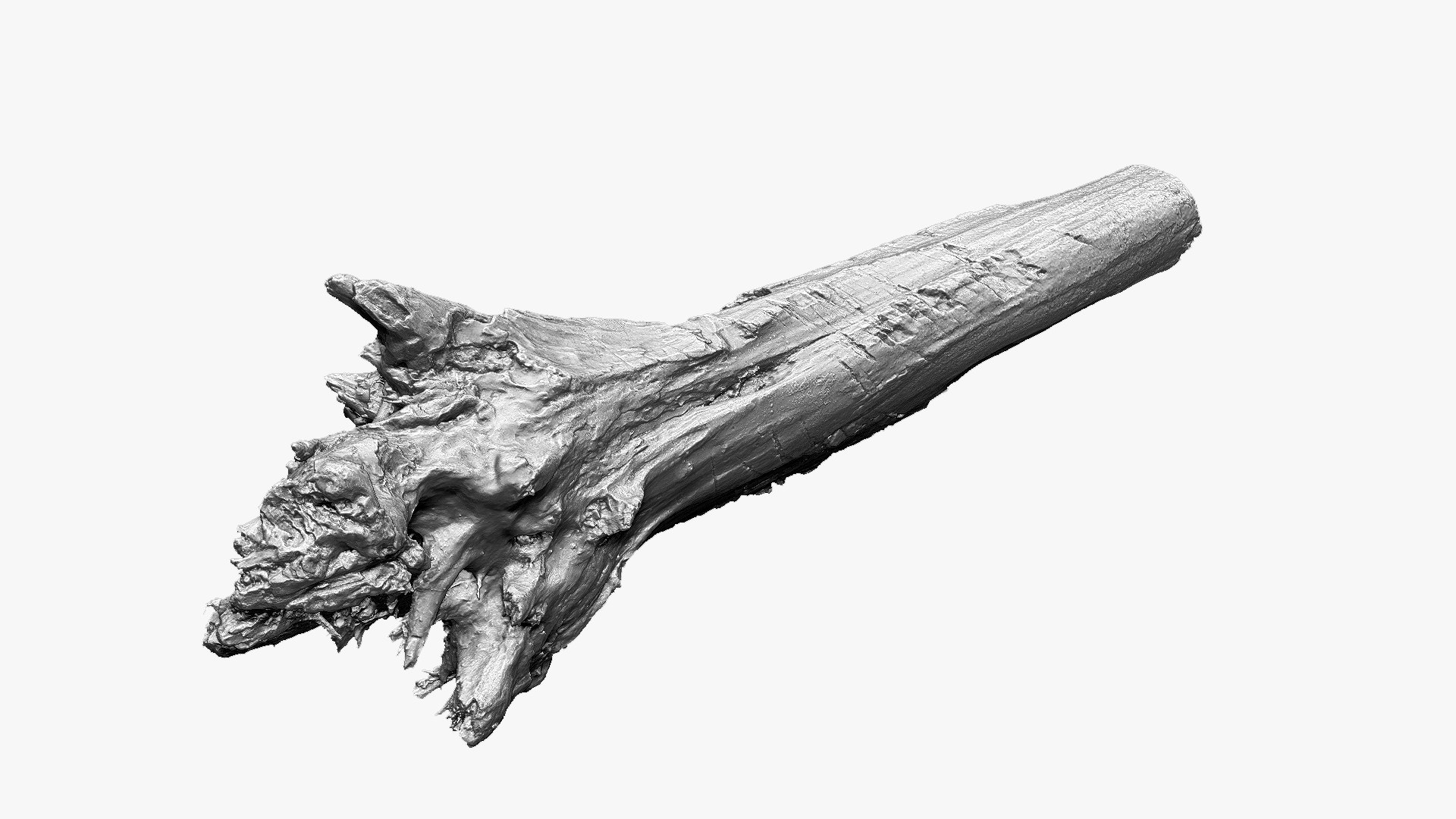 3D 3D Tree trunk Zbrush sculpt https://p.turbosquid.com/ts-thumb/ea/n4GQVx/cy/wood01_scr01/jpg/1695386043/1920x1080/fit_q87/b4ada7aee10747e9d25fddf33048cb64652b006e/wood01_scr01.jpg