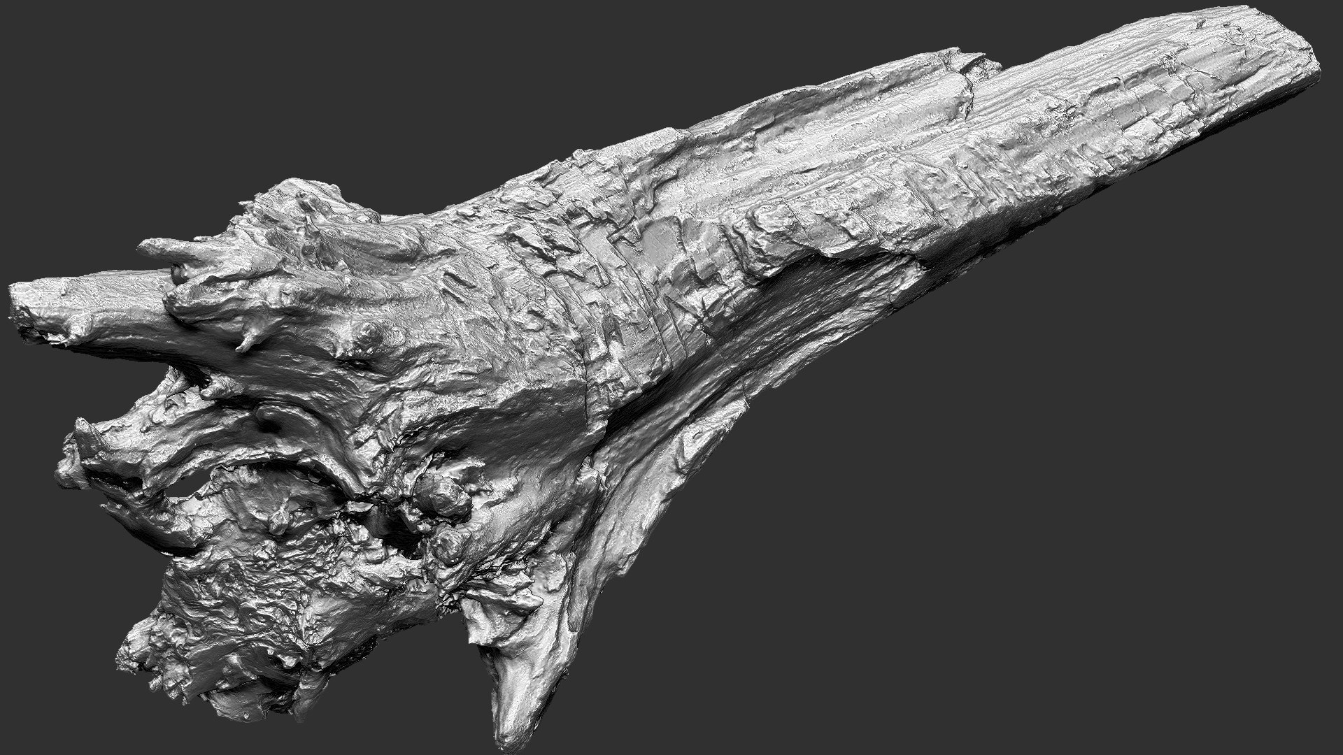 3D 3D Tree trunk Zbrush sculpt https://p.turbosquid.com/ts-thumb/ea/n4GQVx/ka/wood01_scr19/jpg/1695386060/1920x1080/fit_q87/f9a8f490234c67cbc4760b887c5ac9987a18712b/wood01_scr19.jpg