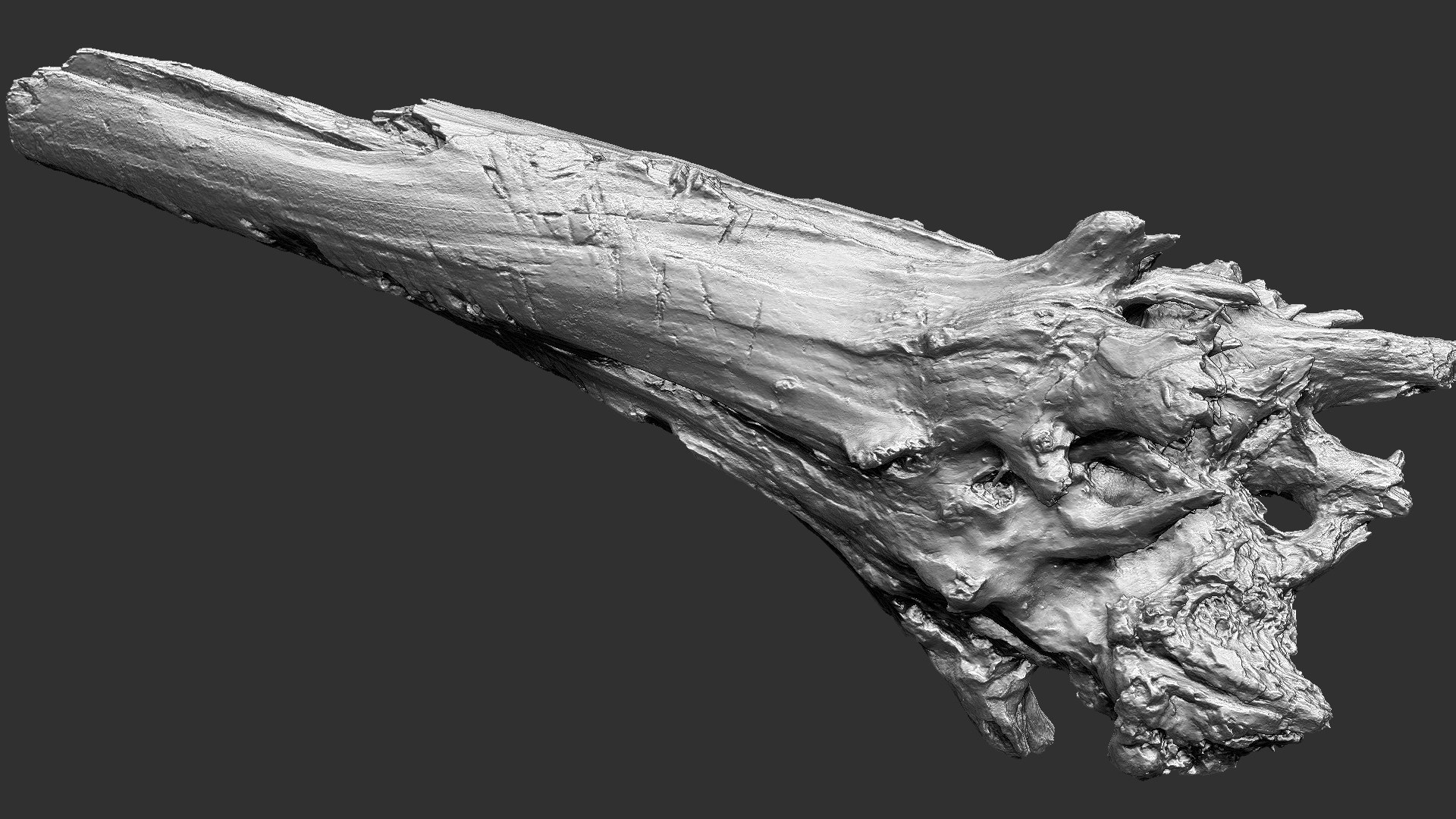 3D 3D Tree trunk Zbrush sculpt https://p.turbosquid.com/ts-thumb/ea/n4GQVx/rI/wood01_scr20/jpg/1695386062/1920x1080/fit_q87/7a99a69e762a805485bf59c05cb9afee4f15b476/wood01_scr20.jpg