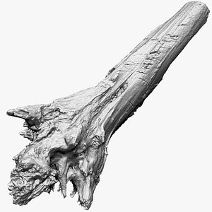 3D 3D Tree trunk Zbrush sculpt