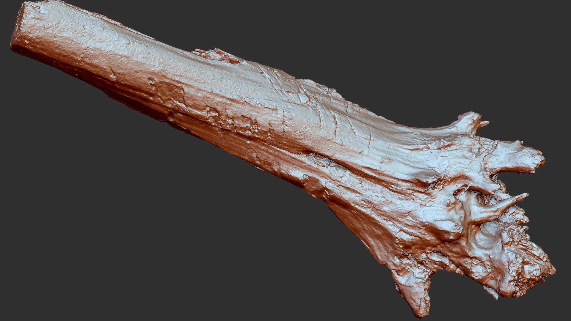3D 3D Tree trunk Zbrush sculpt https://p.turbosquid.com/ts-thumb/ea/n4GQVx/x1/wood01_scr34/jpg/1695386200/1920x1080/fit_q87/139ae0699e97ec7053636c7ce6612ea9f523309e/wood01_scr34.jpg