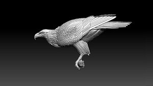3D eagle model