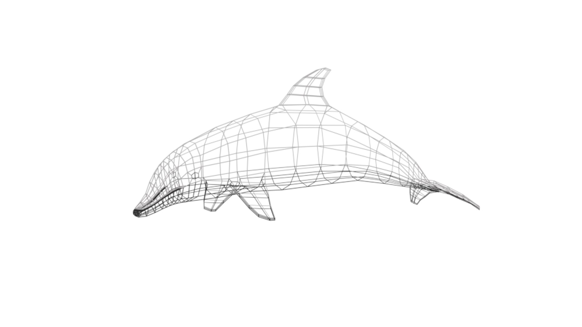 Cartoon Dolphin 3D - TurboSquid 1413284