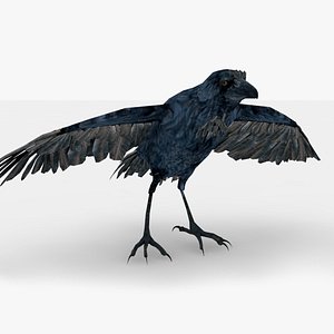 Crow Rigged and Animated model