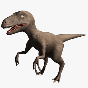 Raptor (Not Rigged)