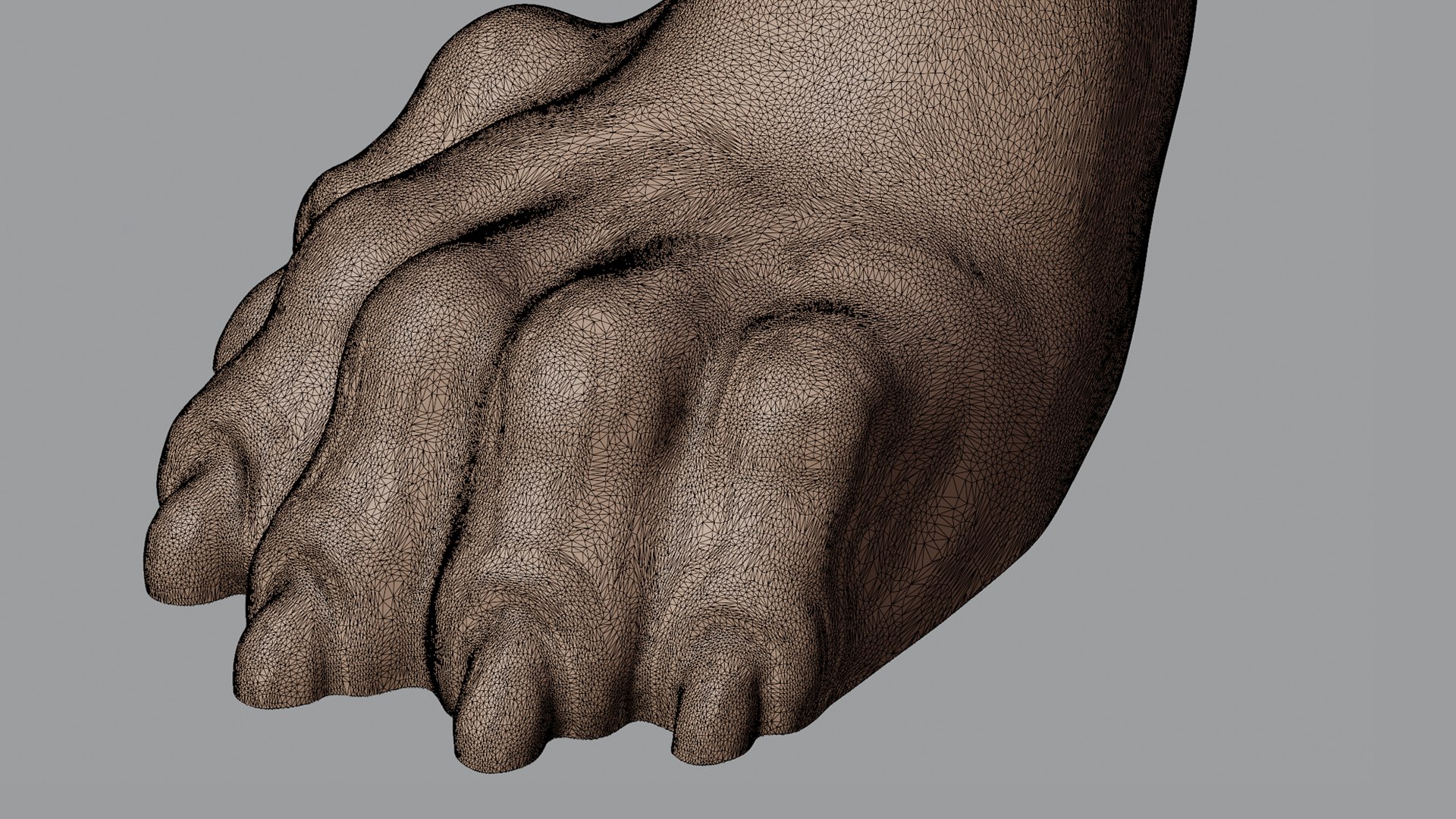 Tiger 3D Model - TurboSquid 2200496
