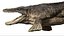 Tylosaurus Rigged 3D 3D model