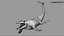 Tylosaurus Rigged 3D 3D model