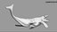 Tylosaurus Rigged 3D 3D model