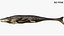 Tylosaurus Rigged 3D 3D model