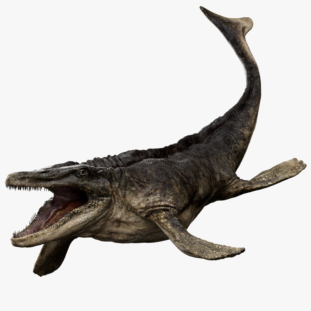 Tylosaurus Rigged 3D 3D model https://p.turbosquid.com/ts-thumb/eb/9dfaYC/Yu/01/jpg/1761195874/1920x1080/fit_q87/6432a97a8650d481ef1d867ffdb49aab377fa18c/01.jpg