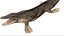 Tylosaurus Rigged 3D 3D model