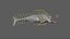 Tylosaurus Rigged 3D 3D model