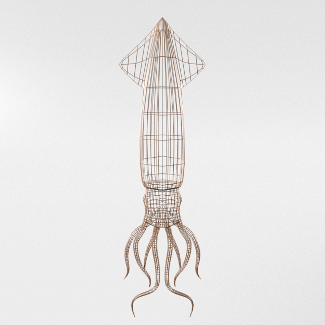 3D squid https://p.turbosquid.com/ts-thumb/eb/S7FY9u/1wwbVJa9/squid_realistic_back_wire/png/1533935245/1920x1080/fit_q87/8f6ccc9805c626890abe376757b03b2d19ebd523/squid_realistic_back_wire.jpg
