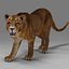 Lioness Rigged et Animation V02 dans Blender Unity