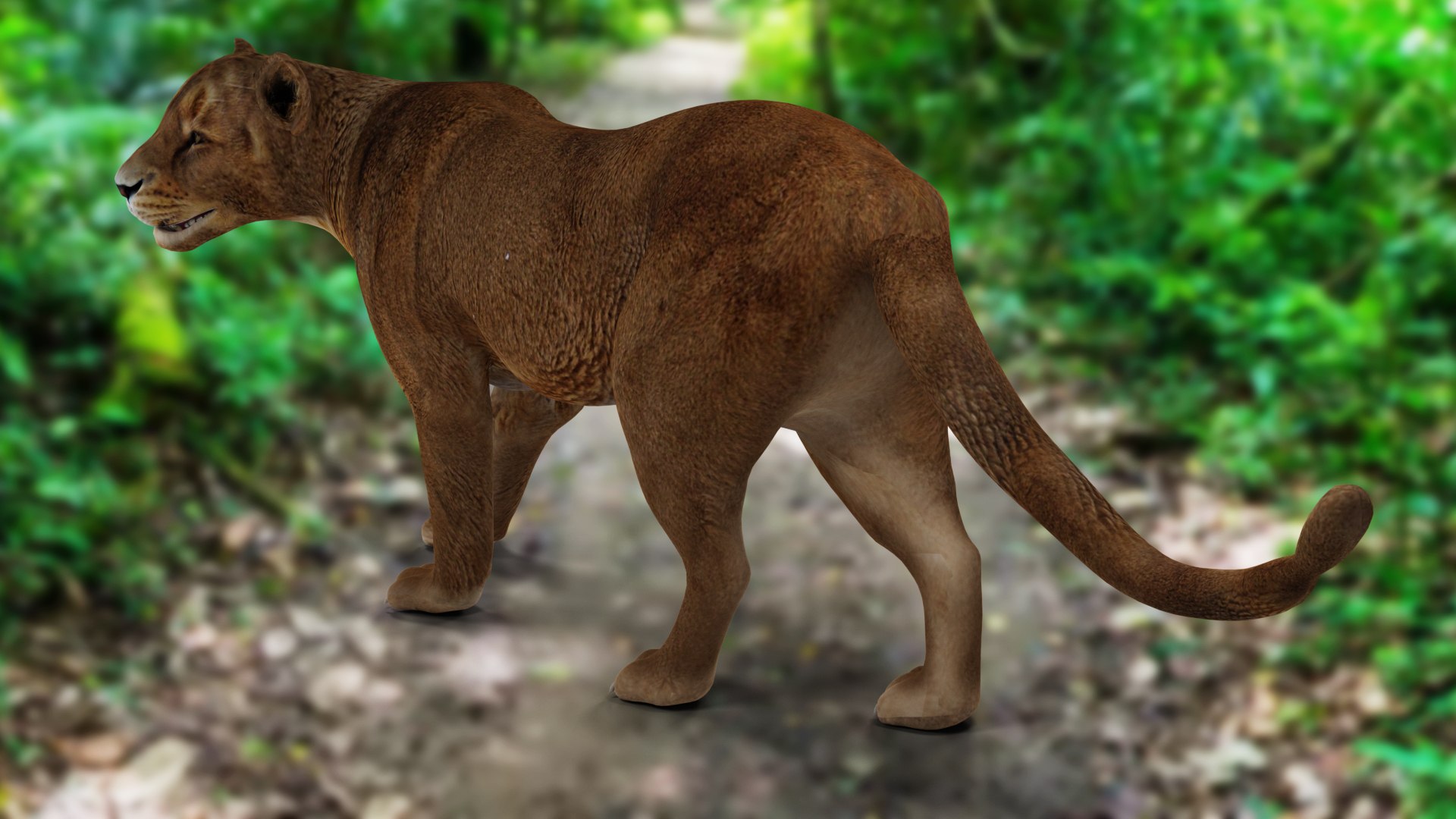 Lioness Rigged and Animation V02 in Blender Unity model https://p.turbosquid.com/ts-thumb/eb/Vyal34/KZ/06/jpg/1689320217/1920x1080/fit_q87/92a9dd9905af9fbd7a044b65b2edf812bad33f49/06.jpg