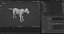 Lioness Rigged et Animation V02 dans Blender Unity