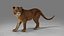Lioness Rigged et Animation V02 dans Blender Unity