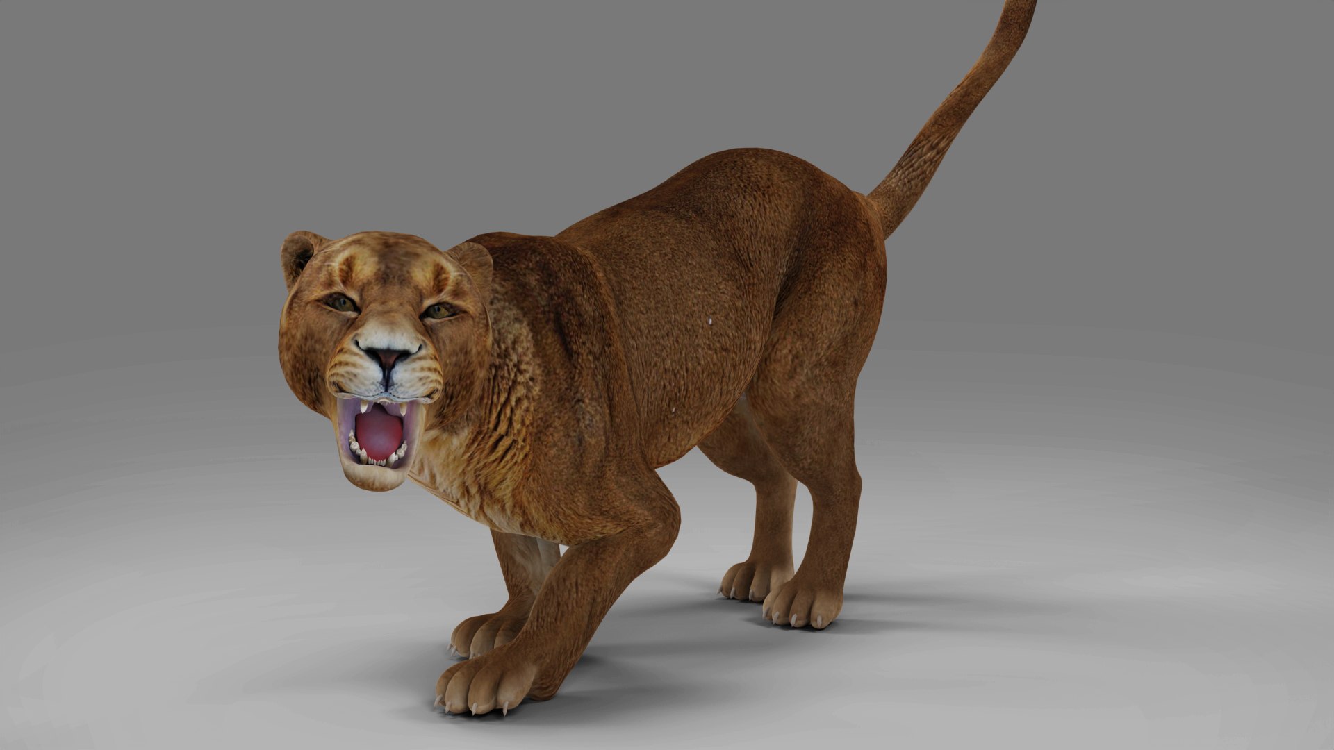Lioness Rigged and Animation V02 in Blender Unity model https://p.turbosquid.com/ts-thumb/eb/Vyal34/ux/03/jpg/1689320215/1920x1080/fit_q87/5acfce6ba2fa1b0ad6ff67b68fe857616cf126c6/03.jpg