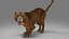Lioness Rigged et Animation V02 dans Blender Unity