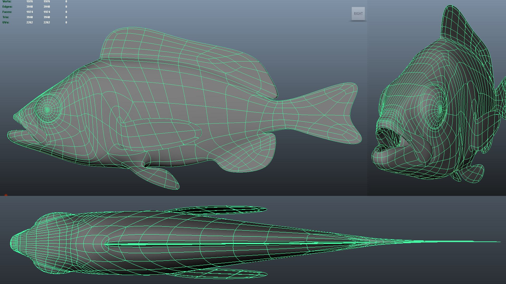 Darkblotched Rockfish Fish 3D Model - TurboSquid 1666438